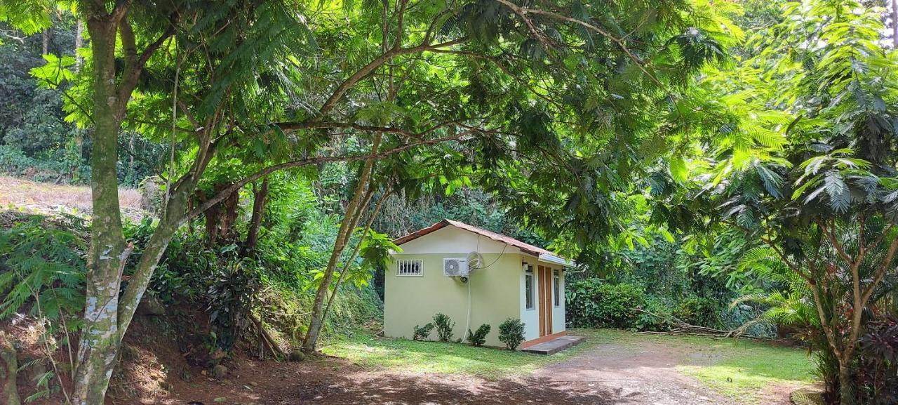 Hostal Y Cabinas Anita-And Rafting Tour! Siqurres Da Alegria Экстерьер фото