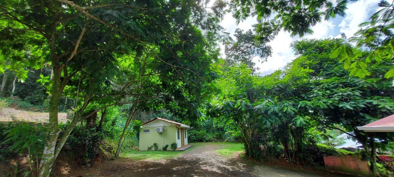 Hostal Y Cabinas Anita-And Rafting Tour! Siqurres Da Alegria Экстерьер фото